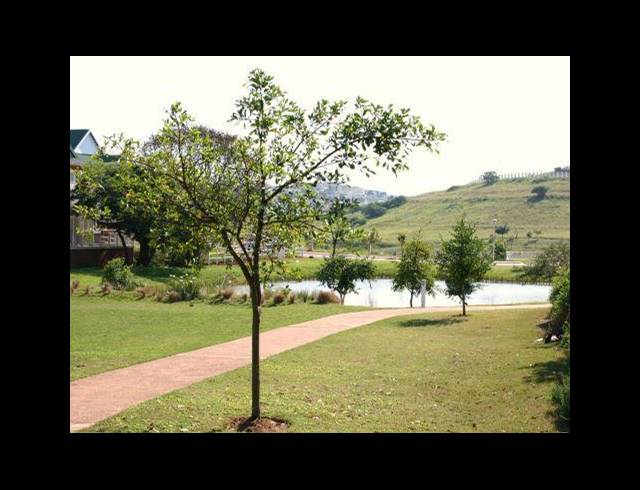 1,524M² VACANT LAND FOR SALE IN KINDLEWOOD ESTATE